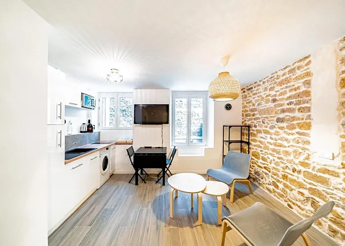 Le Petit Colbert-studio Cosy-croix Rousse Lejlighed Lyon