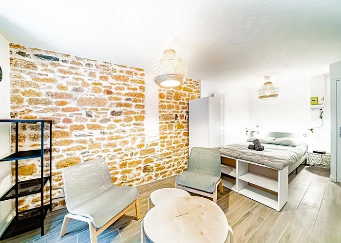 Le Petit Colbert-studio Cosy-croix Rousse ליון